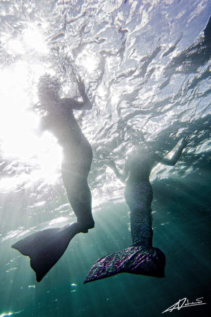 Underwater portrait mermaids.